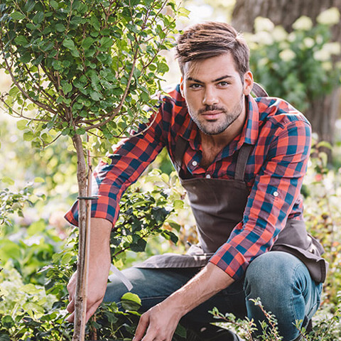 Давиденко Александр