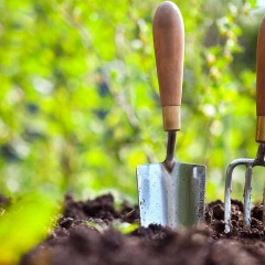 Советы для новичков по ландшафтному проектированию