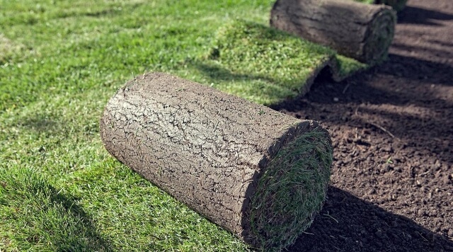 Укладка рулонного газона своими руками