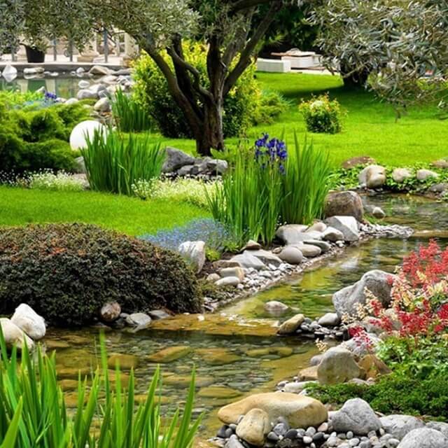 Создание пруда и озеленение участка