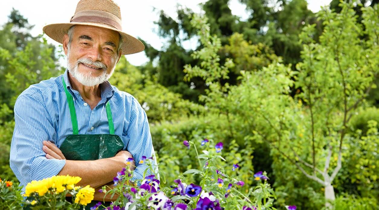Сбор и сортировка урожая, обрезка сухостоя